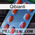 Qibianli 06